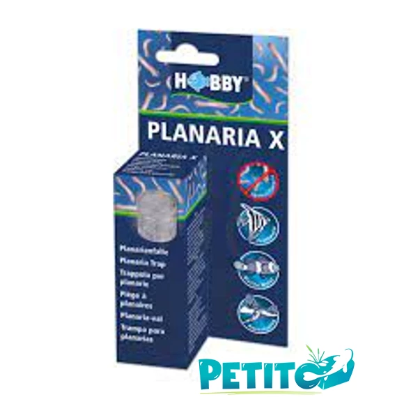 Hobby Planaria X planária csapda akváriumba