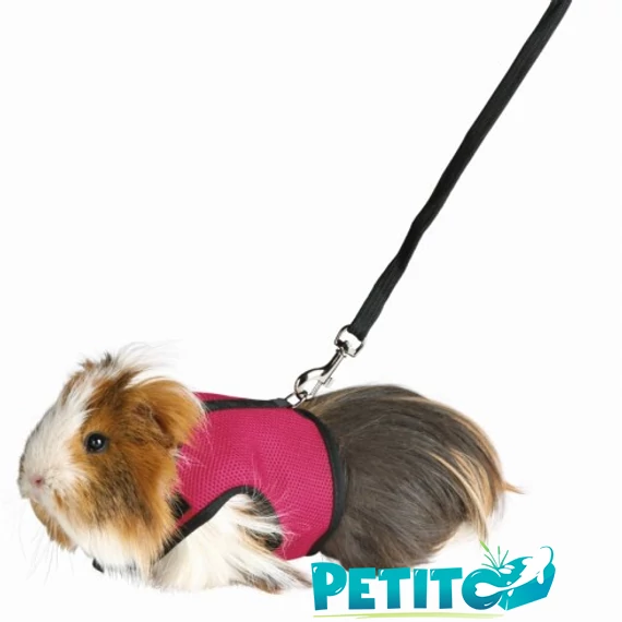 Hám Pórázzal Nylon Rágcsálóknak Strapabíró 18–25cm 1.20m