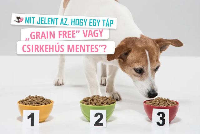 Mit jelent az, hogy egy táp „grain free” vagy „csirkehús mentes”?