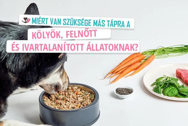 Miért kell különböző táp kölykök, felnőtt és ivartalanított állatoknak?
