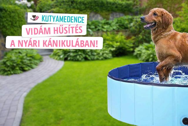 Vidám hűsítés kedvencednek