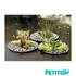 Kép 4/6 - Velda Floating Plant Island úszó ültető kosár kerek 25 cm