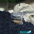 Kép 3/3 - Hobby Planaria X planária csapda akváriumba