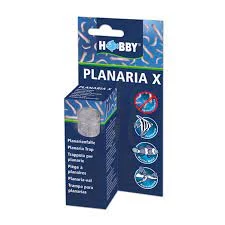 Hobby Planaria X planária csapda akváriumba