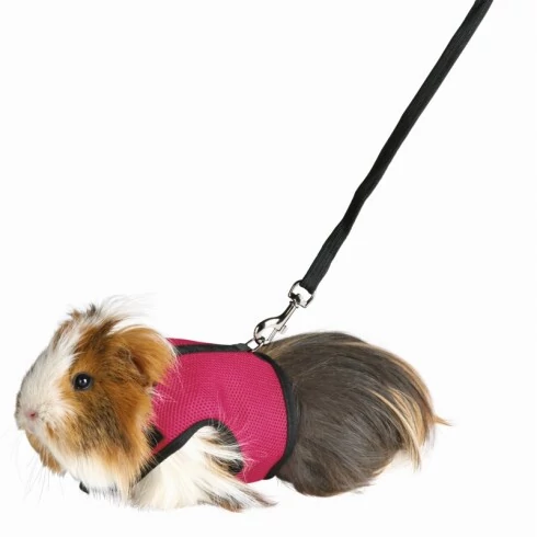 Hám Pórázzal Nylon Rágcsálóknak Strapabíró 18–25cm 1.20m